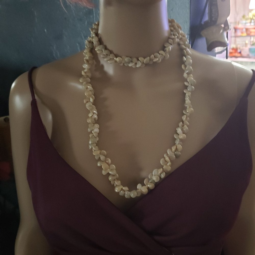 Strand of sea shells. Vintage 69